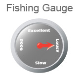 Fishing Gauge indicating fishing is very slow.
